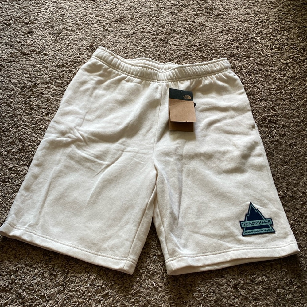 Mens The North Face Shorts - Picture 1 of 7